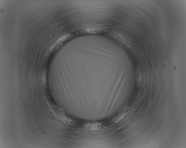 X0000067900595200605041620