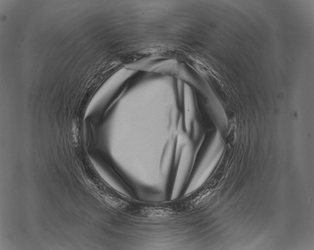 X0000067900597200605041620