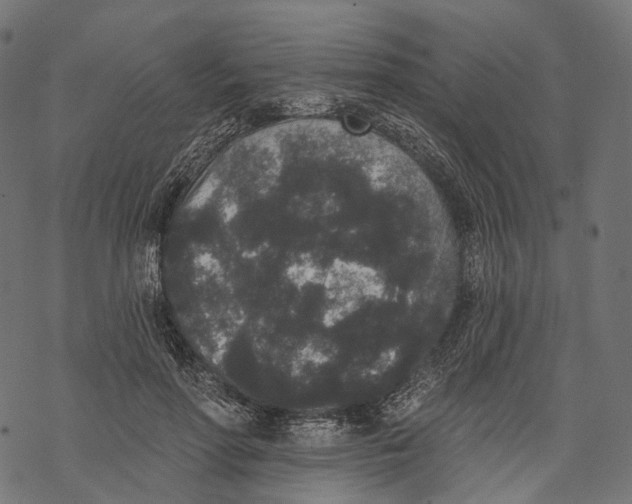 X0000067900598200605041620