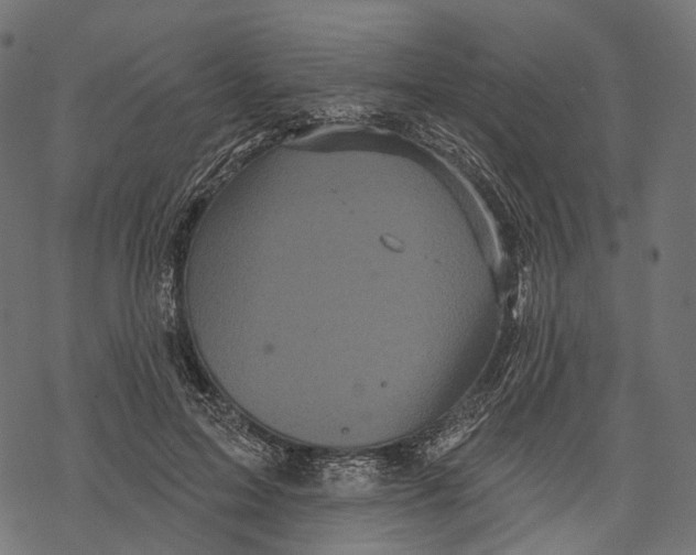 X0000067900599200605041620