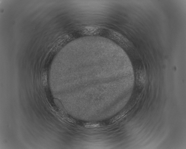 X0000067900602200605041620