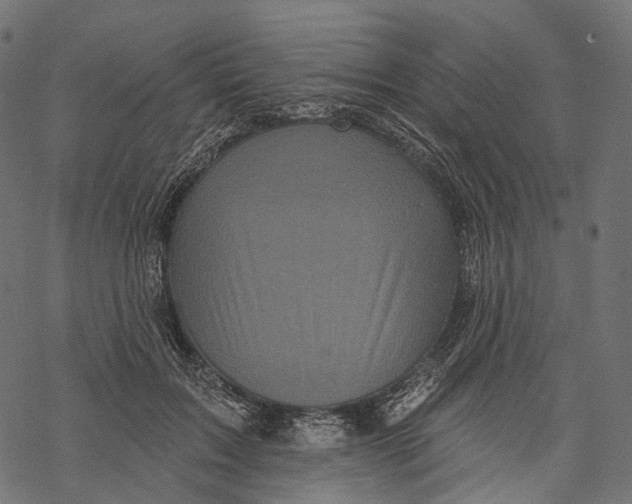 X0000067900603200605041620