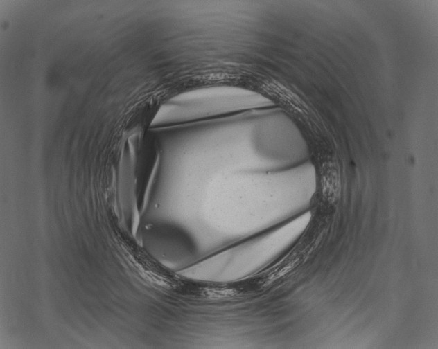 X0000067900605200605041620