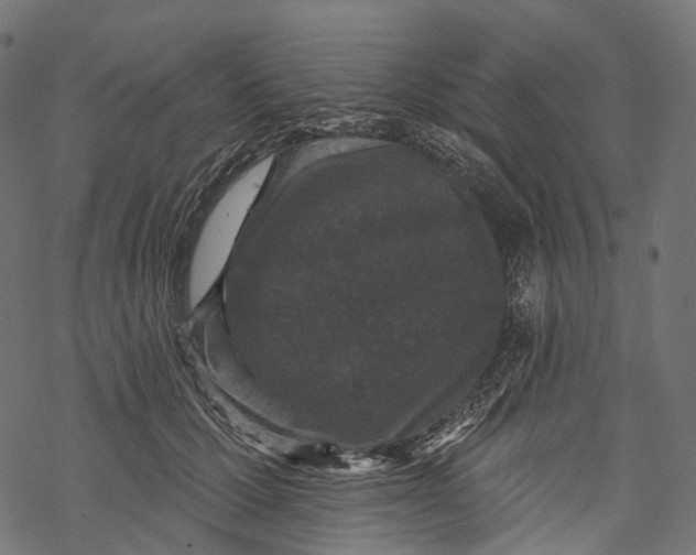 X0000067900607200605041619