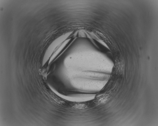 X0000067900609200605041619