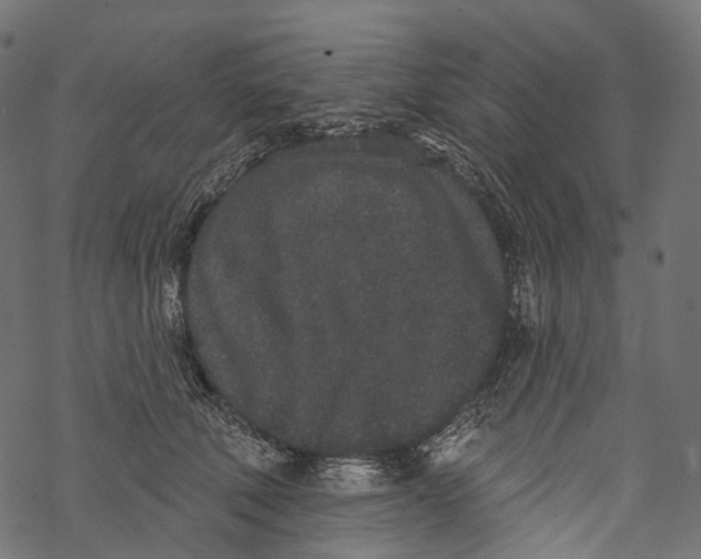 X0000067900610200605041619