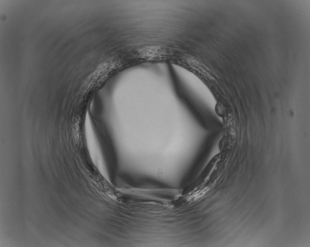 X0000067900611200605041619