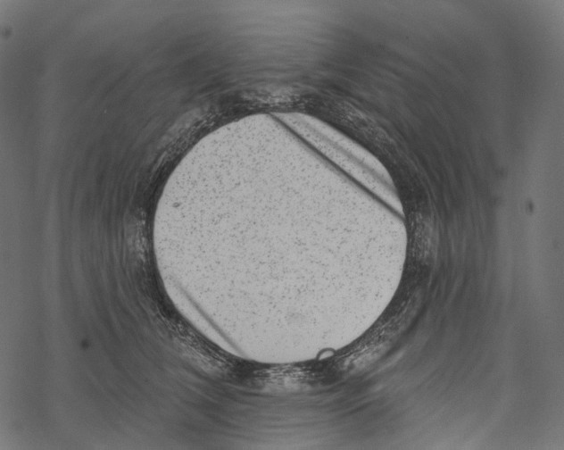 X0000067900612200605041619