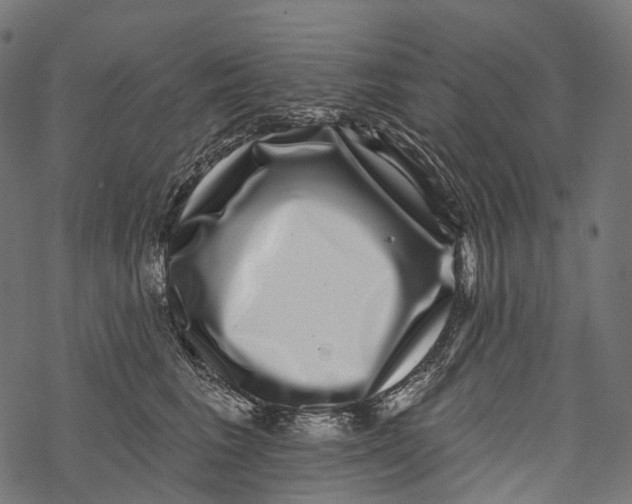 X0000067900613200605041619