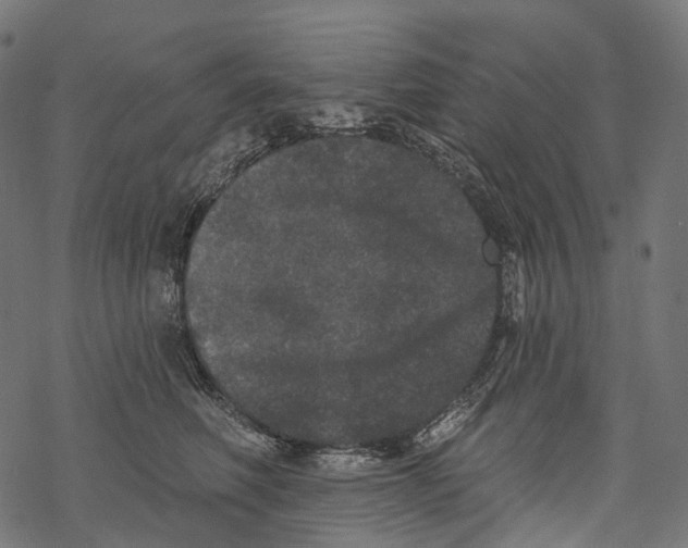 X0000067900614200605041619