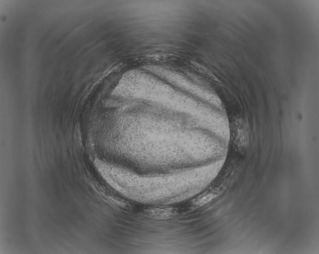 X0000067900615200605041619