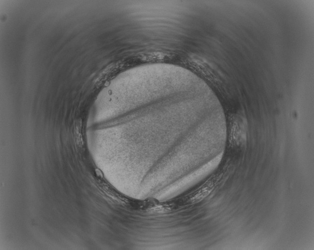 X0000067900616200605041619