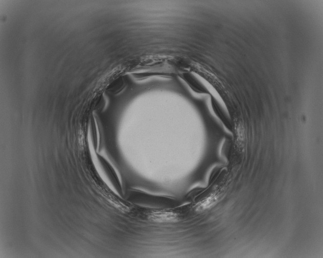 X0000067900617200605041619