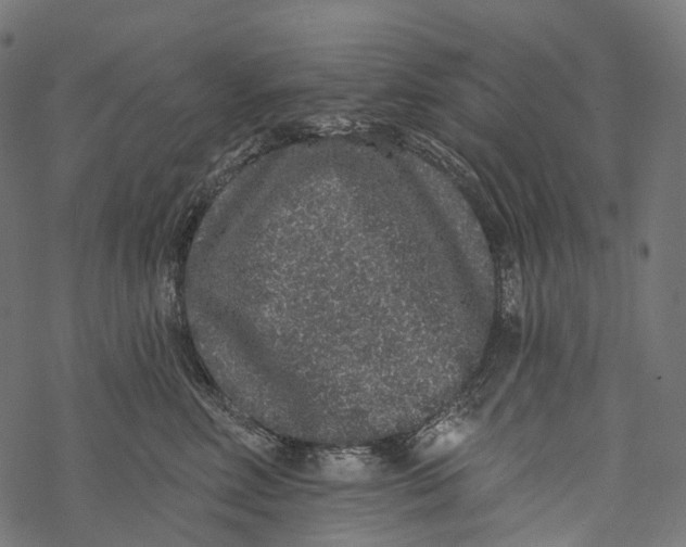 X0000067900618200605041619