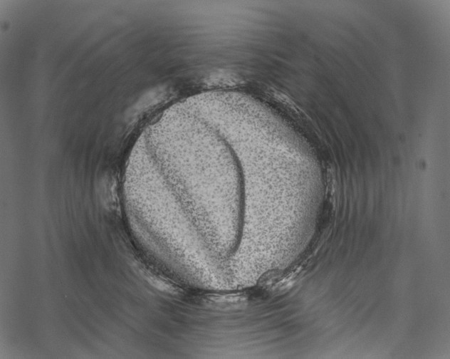 X0000067900619200605041619