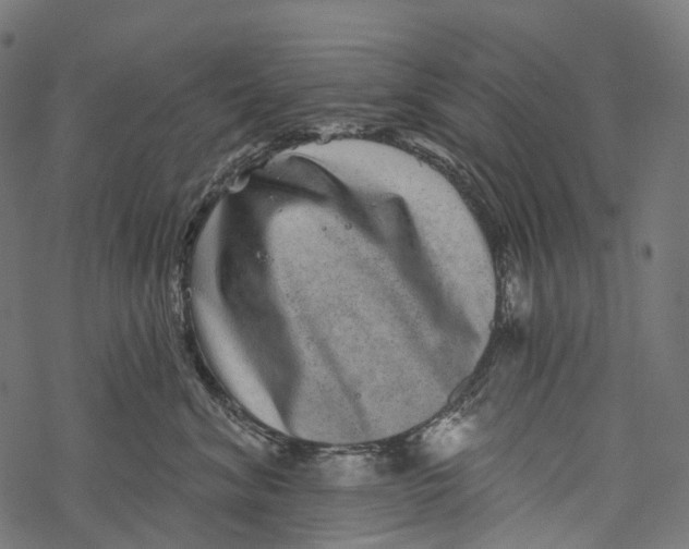 X0000067900620200605041619