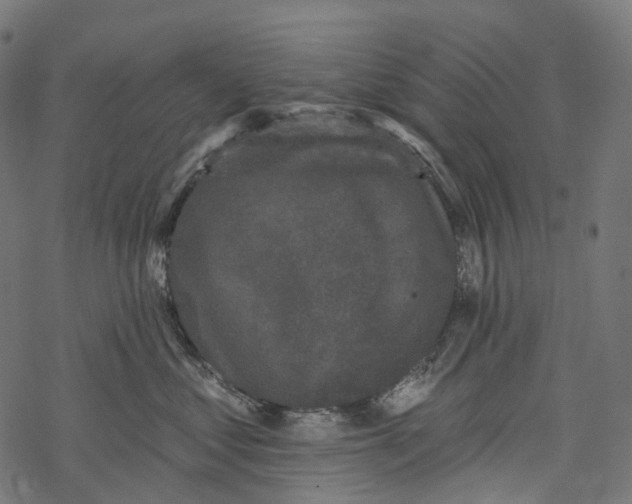 X0000067900621200605041619