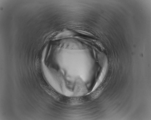 X0000067900623200605041619