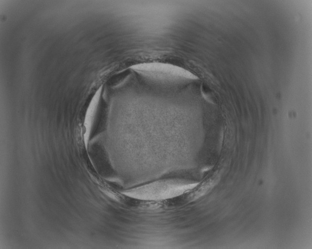 X0000067900624200605041619