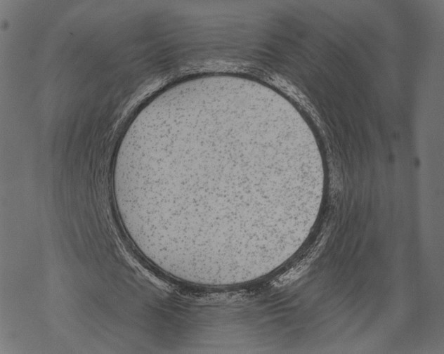 X0000067900625200605041618