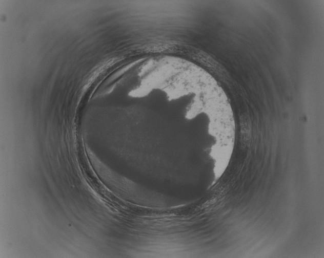 X0000067900626200605041618