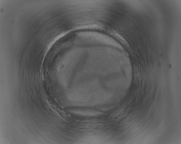 X0000067900628200605041618