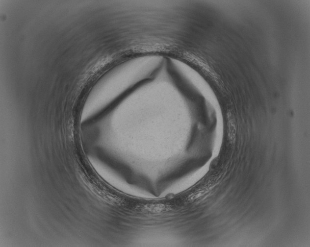 X0000067900631200605041619