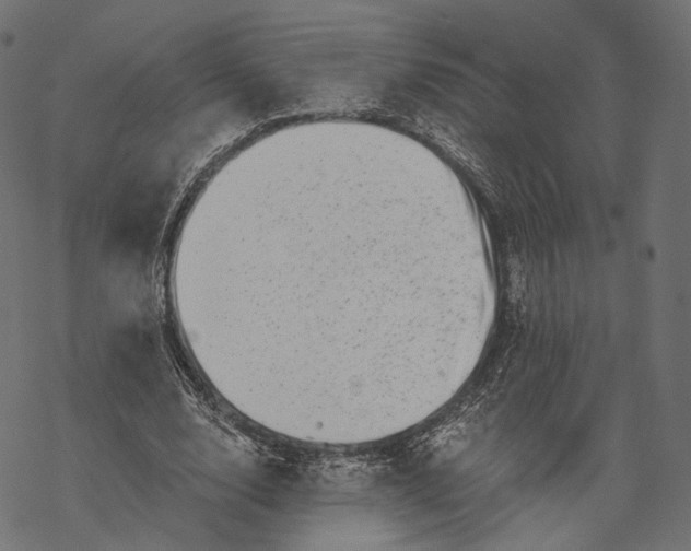 X0000067900632200605041619