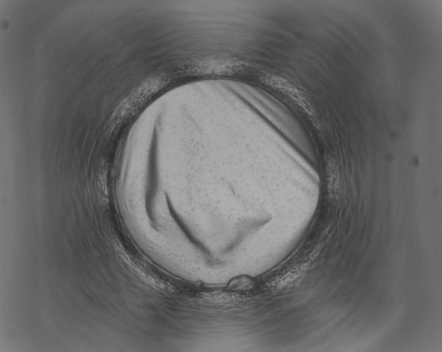 X0000067900633200605041619