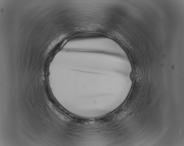 X0000067900634200605041619