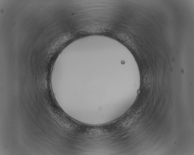 X0000067900635200605041619