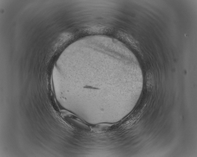 X0000067900637200605041619