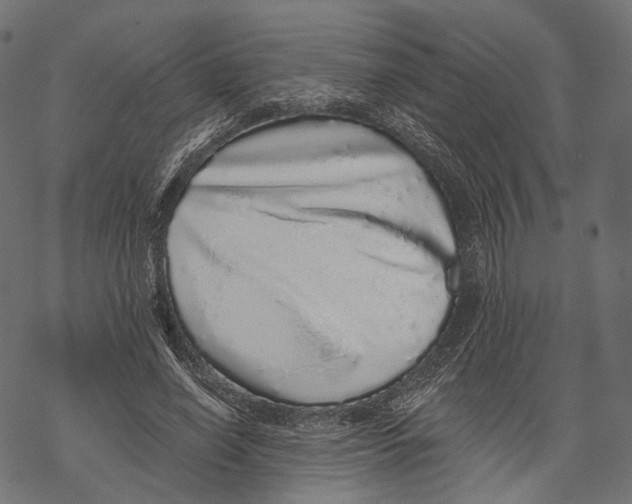 X0000067900638200605041619