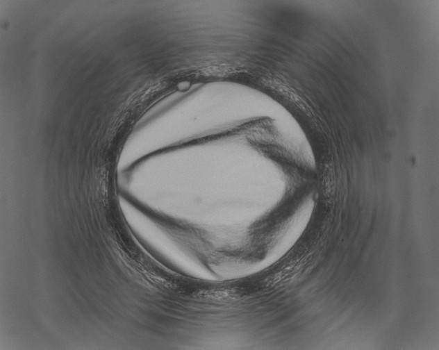 X0000067900639200605041619