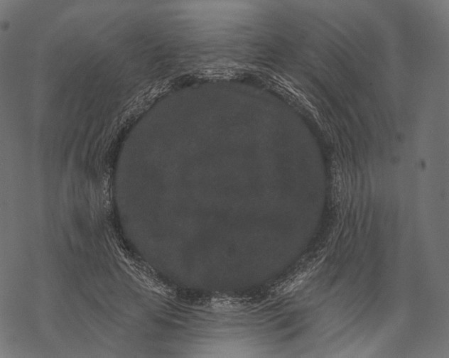 X0000067900641200605041619