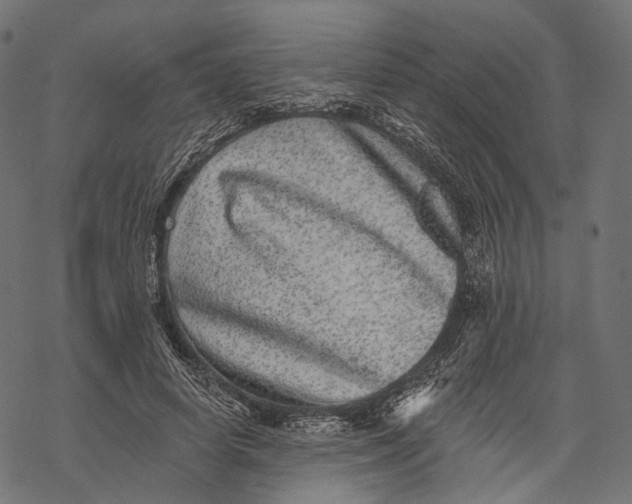 X0000067900642200605041619