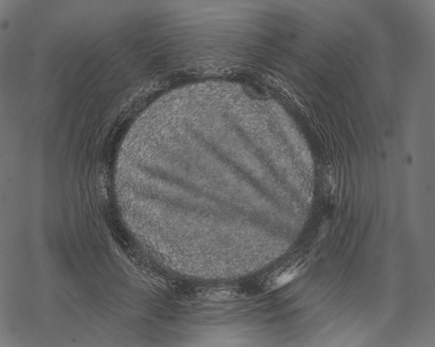 X0000067900643200605041619