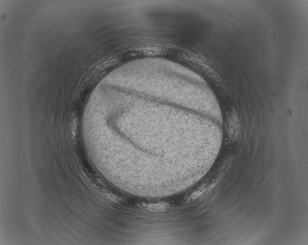 X0000067900645200605041619