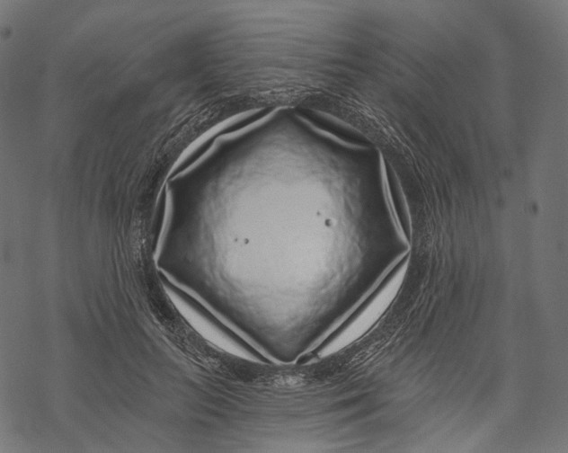 X0000067900647200605041619