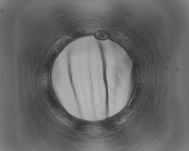 X0000067900648200605041619