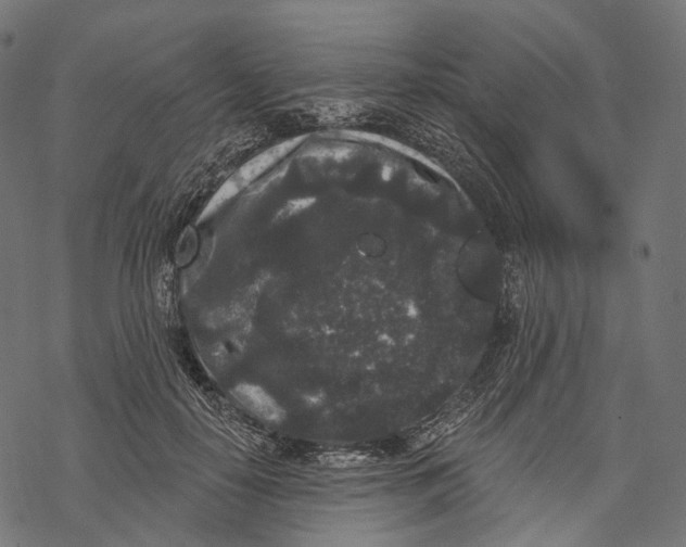 X0000067900650200605041619