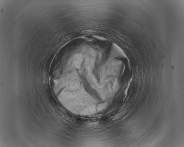 X0000067900651200605041619