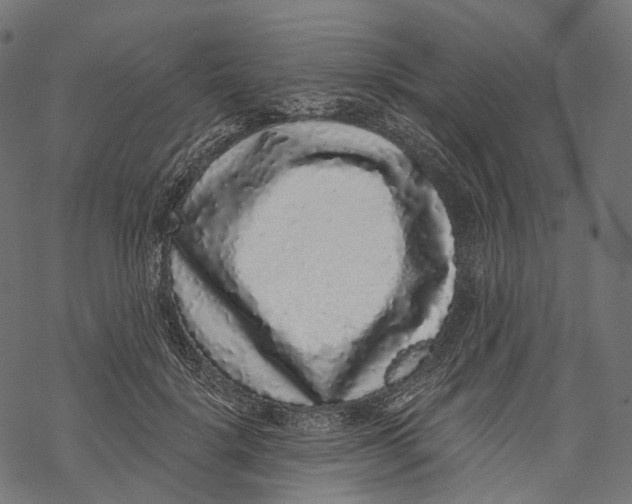 X0000067900652200605041619