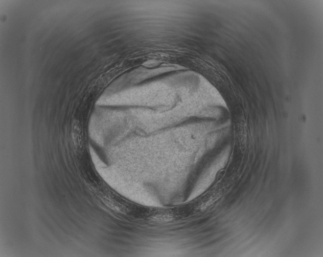 X0000067900653200605041619