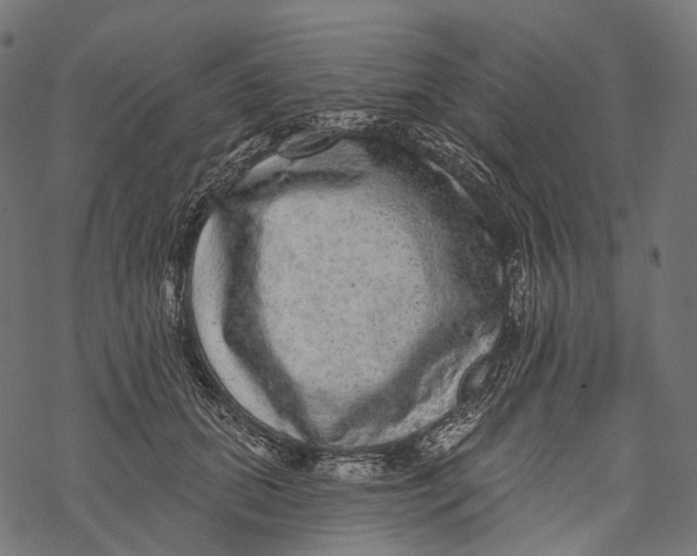 X0000067900655200605041619