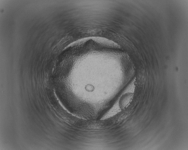 X0000067900656200605041619