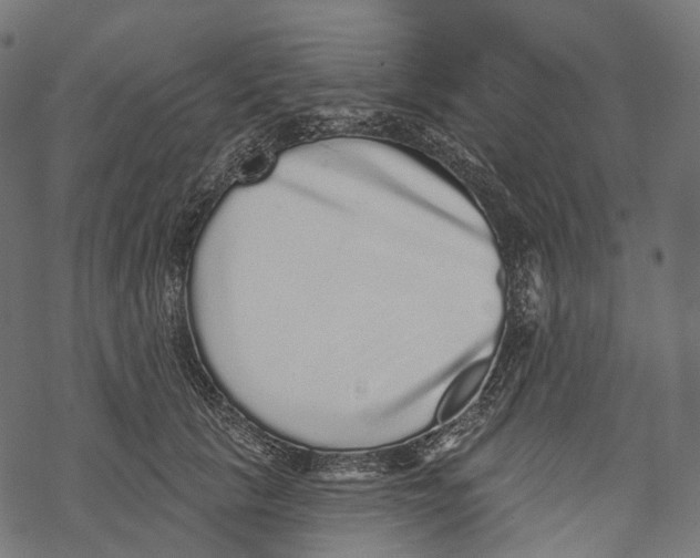 X0000067900657200605041619