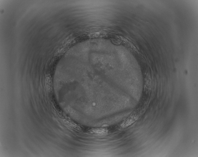 X0000067900659200605041619