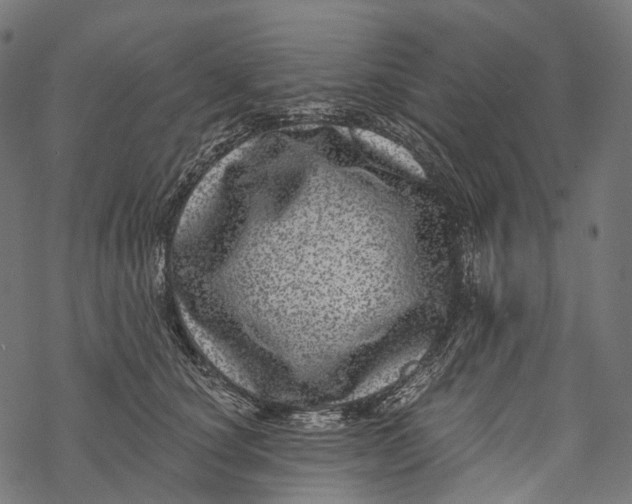 X0000067900660200605041619