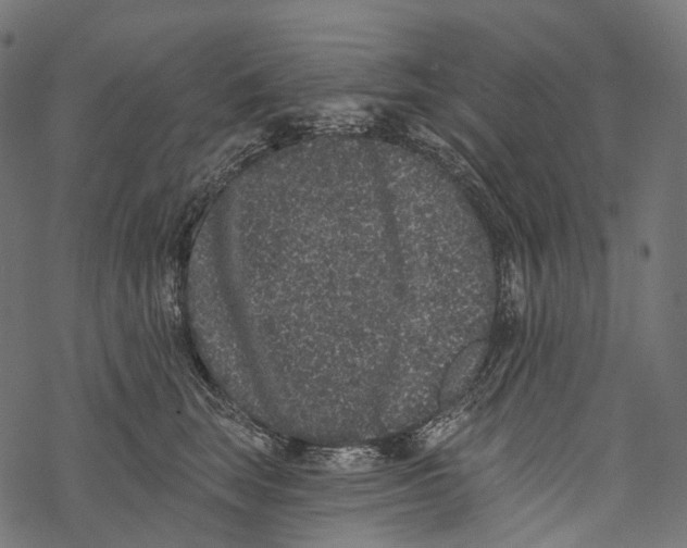 X0000067900663200605041619